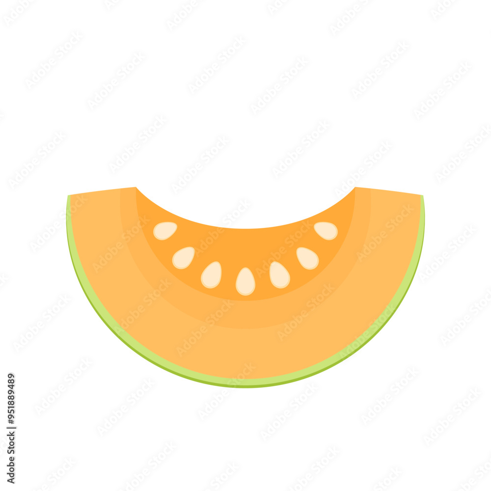 Melon logo vector. melon on white background. Half melon. Melon logo vector. melon on white background. Half melon.