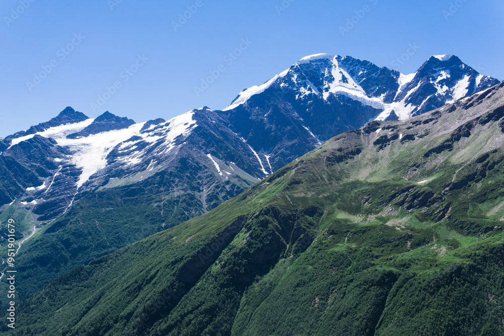 mountain landscape, slope with alpine weadows and snowy peaks in the distance mountain landscape, slope with alpine weadows and snowy peaks in the distance