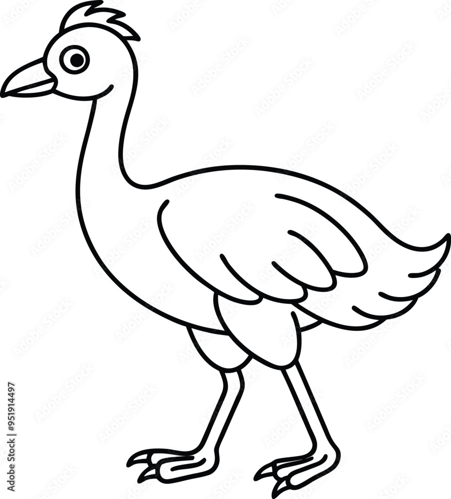 Fototapeta premium The smiling bustard shows off its elegant stride on the ground radiating happiness and showcasing its beautiful feathers