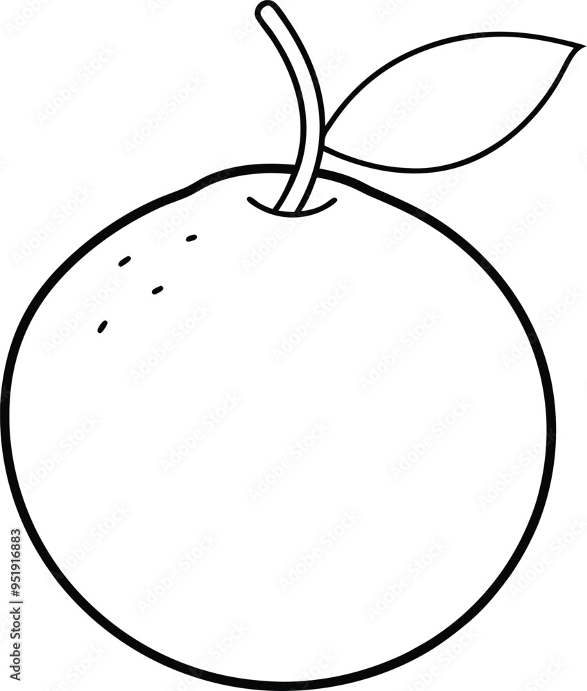 Clean single-line illustration of a whole kumquat capturing its natural curves
Clean single-line illustration of a whole kumquat capturing its natural curves