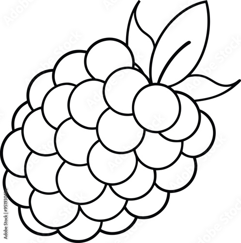 Elegant black outline of a blackberry fruit emphasizing simplicity and clarity
