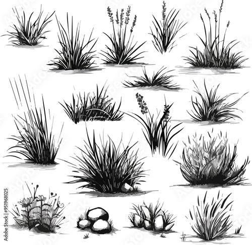 Charcoal Doodle Scribble Illustration Collection Grassland Elements Weeds Wildflowers Bushes Rocks Ideal for Landscape Design and Creative Projects