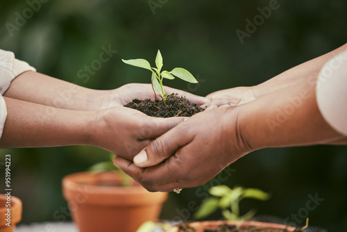Unity, environment and hands with soil and plant for eco friendly, sustainable and ecology project. Support, gardening and people with fertilizer and green leaf sprout for community, ngo or charity.
