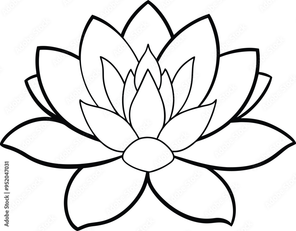 Fototapeta premium Detailed Flower Outline Creation