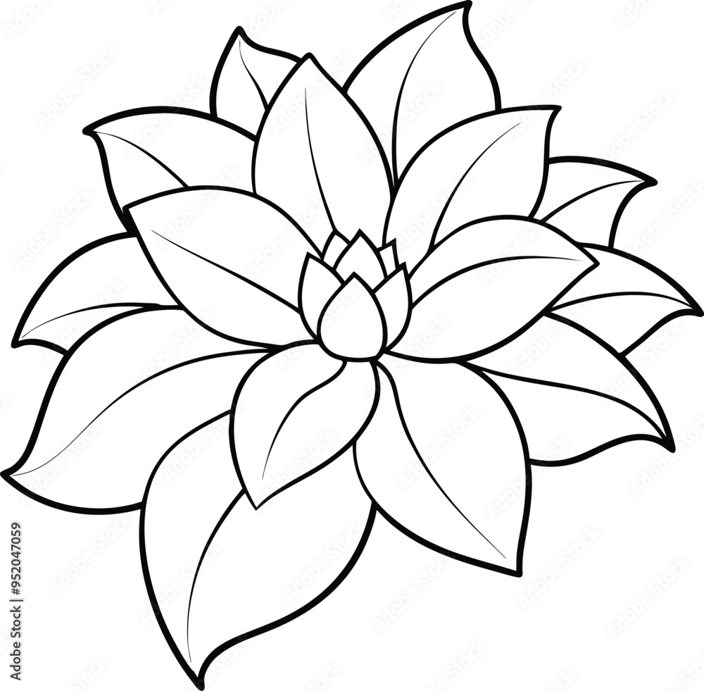 Fototapeta premium Detailed Flower Outline Creation