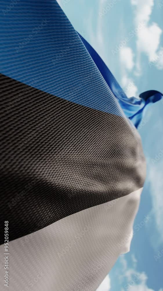 Wavy flag of Estonia blowing in the wind in slow motion. Waving ...