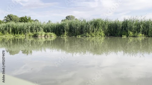Boat tour on the Italian River. Scene features a variety of plants thriving at the water's edge, highlighting the region's rich biodiversity