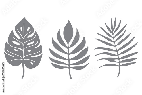 Tropical leaves