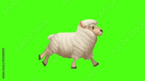 Adorable cartoon sheep walking and running on a green screen background, perfect for compositing into farm, countryside, or children's themed videos, animations, and motion graphics photo