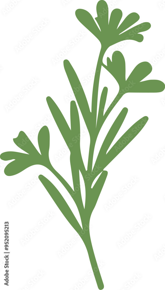 Rosemary Sprig Vector in Doodle Style - Clip Art for Menus and Products. Rosemary Sprig Vector in Doodle Style - Clip Art for Menus and Products.