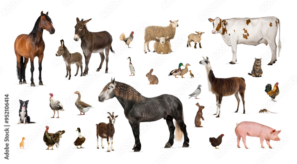 Large group of many farm animals standing together Large group of many farm animals standing together