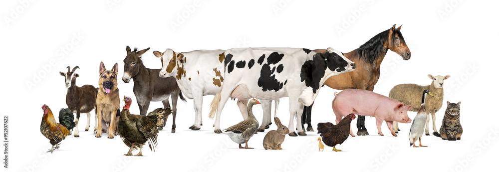 Large group of many farm animals standing together Large group of many farm animals standing together