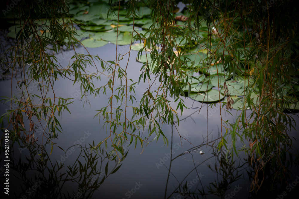 Landscape view from little lake in Bulgaria, Borovo oko, city Targovishe