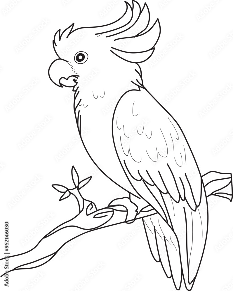 Hand drawn parrots outline illustration Hand drawn parrots outline illustration