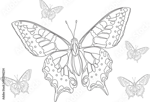 Hand drawn butterfly outline illustration