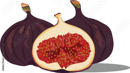 higo or anjeer pic png translated as fig
