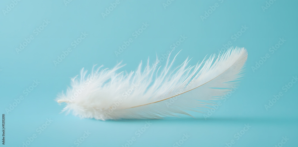 White fluffy bird feather on sky blue background White fluffy bird feather on sky blue background