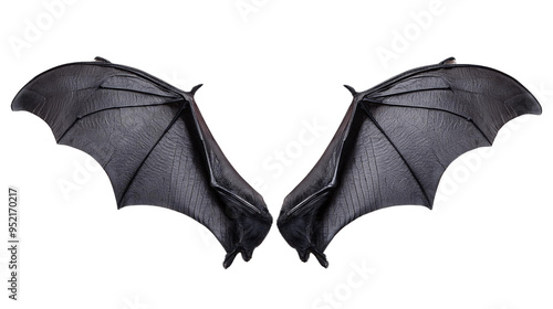 A pair of bat wings with a leathery texture and detailed veining Element Transparent PNG