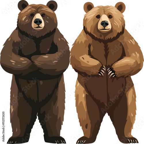 husband and wife bear couple bear vector illustration