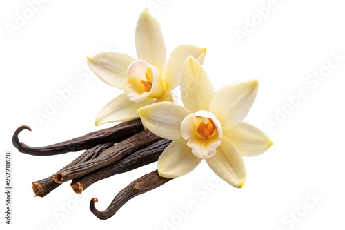 Vanilla flower pods and sticks isolated on a white background