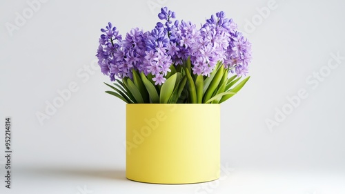 Beautiful arrangement of hy...