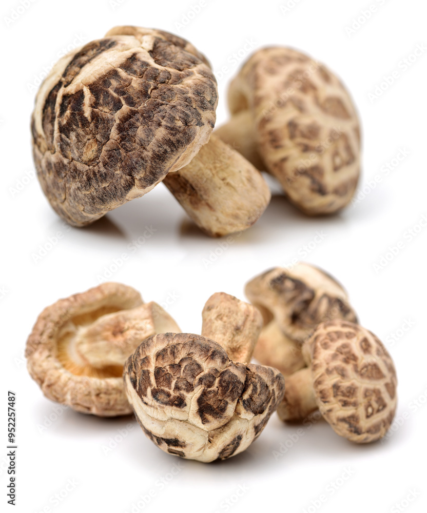 Dry Shiitake Mushroom on white background Dry Shiitake Mushroom on white background