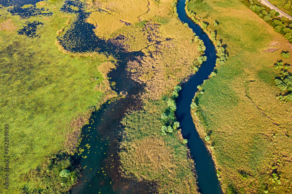 Aerial view of the lush ecosystem around Lake Skadar in Montenegro, featuring swampy areas and dense greenery