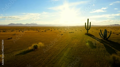 Sweeping Mexican Landscape with Rolling Prairies and Endless Horizons