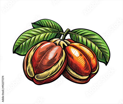 red-apple with leaves  vector illustration
