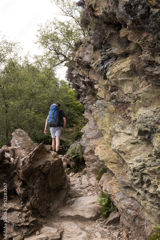 Back view of a backpacker hiking on a trail in the Wicklow mountains, Ireland, Europe Back view of a backpacker hiking on a trail in the Wicklow mountains, Ireland, Europe