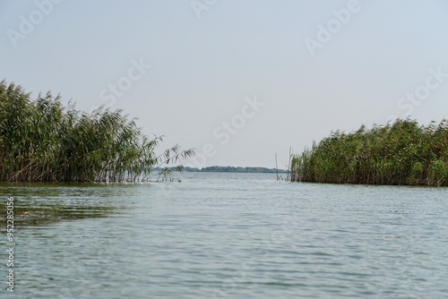 Danube's Flora Landscape 6K