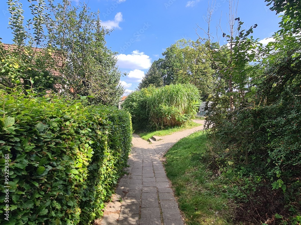 Naturpfad durch eine Gartenanlage in Bad Doberan, Mecklenburg - Vorpommern Naturpfad durch eine Gartenanlage in Bad Doberan, Mecklenburg - Vorpommern