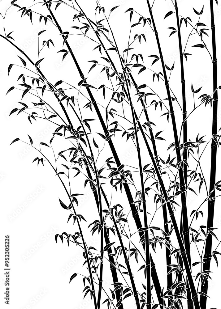 Fotografie Bamboo line art work illustration transparent background