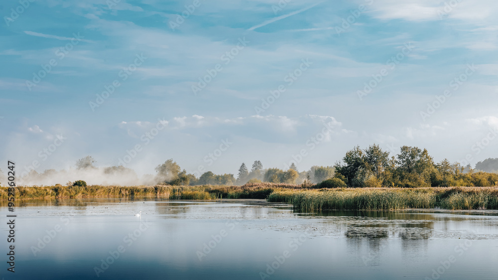 landscape of a lake with a swan landscape of a lake with a swan