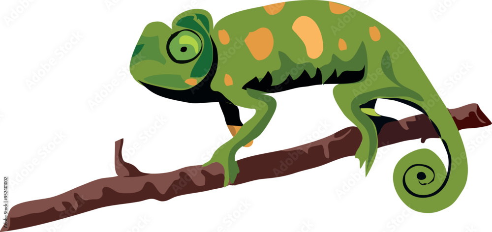 Fototapeta premium indian chameleon png on a branch