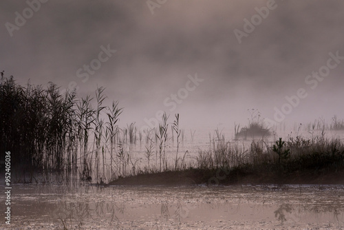 Fotografía Morning fog on Galkino swamp, Ugra National Park