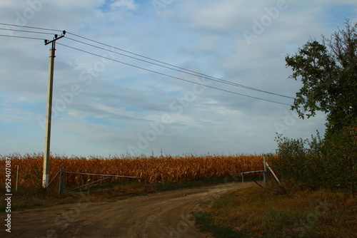 A dirt road with power lines