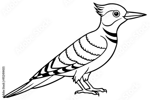 Fulvous breasted woodpecker  line art