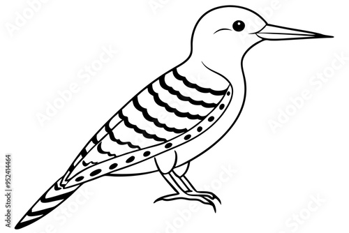 Fulvous breasted woodpecker  line art