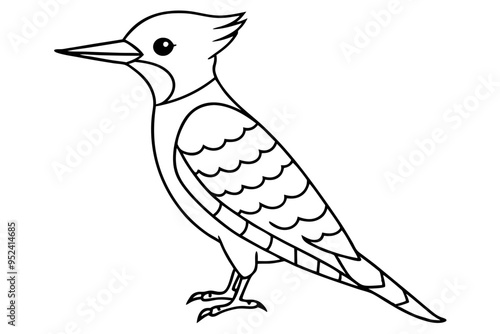 Fulvous breasted woodpecker  line art