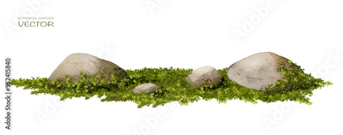  Vector watercolor green  tree or forest side view isolated on white background for landscape and architecture drawing,elements for environment or and garden,Shrub for section