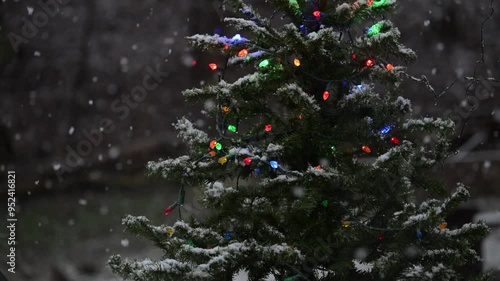 Snow is softly and slowly falling this winter on our outdoor Christmas Tree in our backyard here in Windsor in Upstate NY.  Snow, Christmas Tree and flashing lights. photo