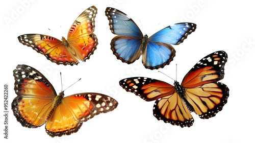 Butterflies isolated on transparent background, PNG