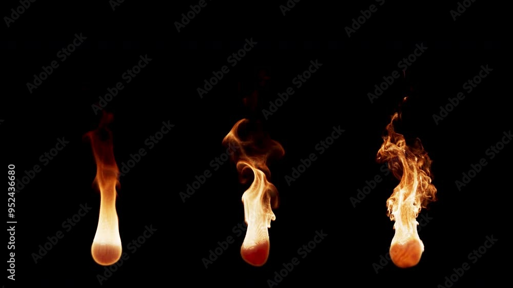 3D animation set of three types of burning fire flames. The file contains Alpha Channel. Each fire flame has different settings of burning and movement, from calm to active.