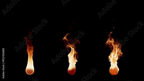 3D animation set of three types of burning fire flames. The file contains Alpha Channel. Each fire flame has different settings of burning and movement, from calm to active.