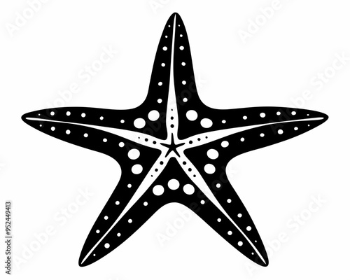 Star Fish silhouette vector illustration