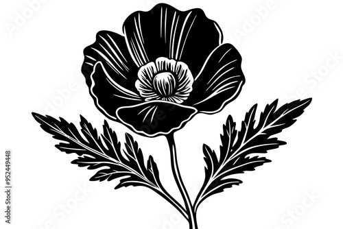 California Poppy flower silhouette isolated on a white background 
