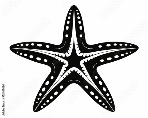 Star Fish silhouette vector illustration