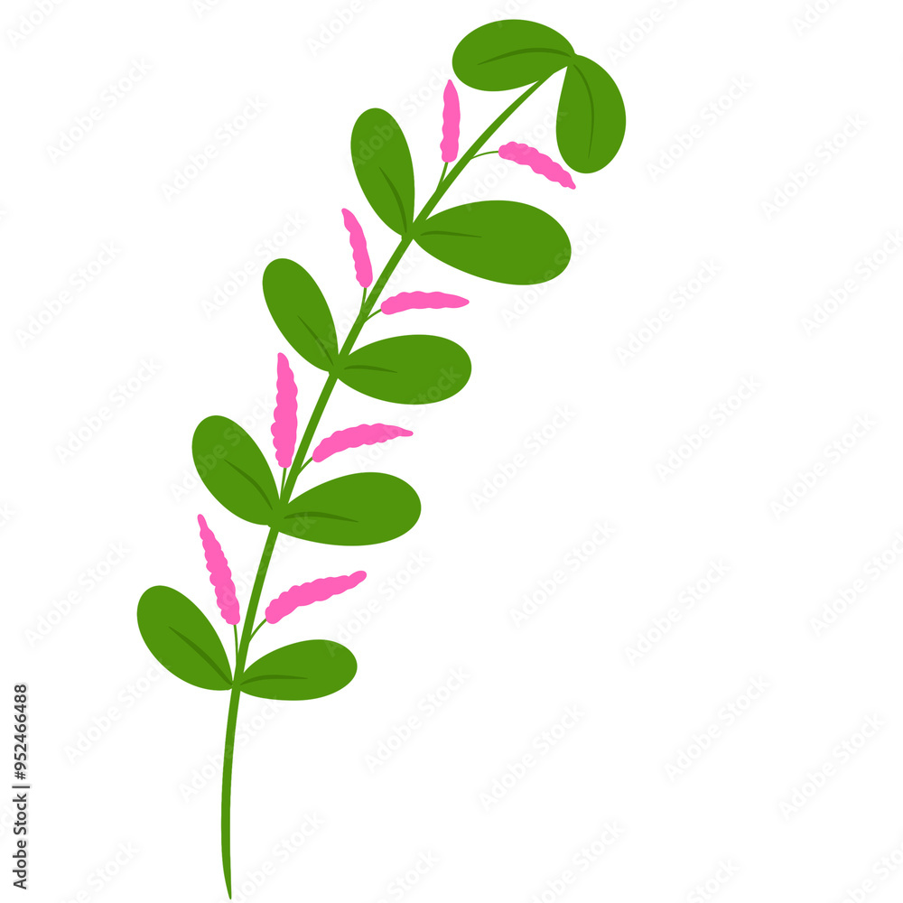 Green leaf stalks with pink flowers Green leaf stalks with pink flowers