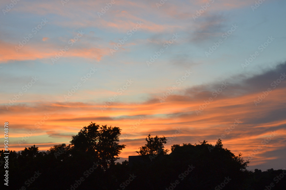 sunset over the forest trees, the beauty sunset, Sun in the Sky, beautiful eveing time view, dark black sunset silhouette. sunset over the forest trees, the beauty sunset, Sun in the Sky, beautiful eveing time view, dark black sunset silhouette.